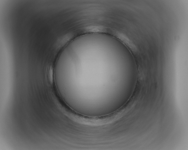 X0000110680014200906191414