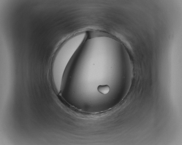 X0000110680015200906191414