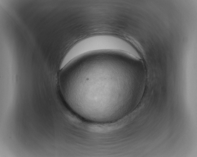 X0000110680017200906191414