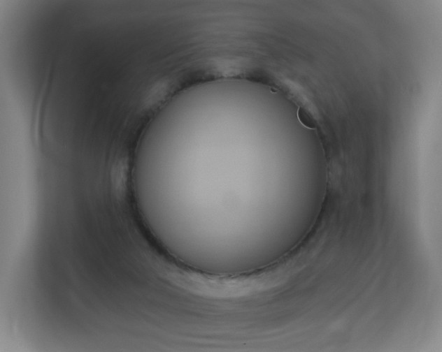 X0000110680018200906191414