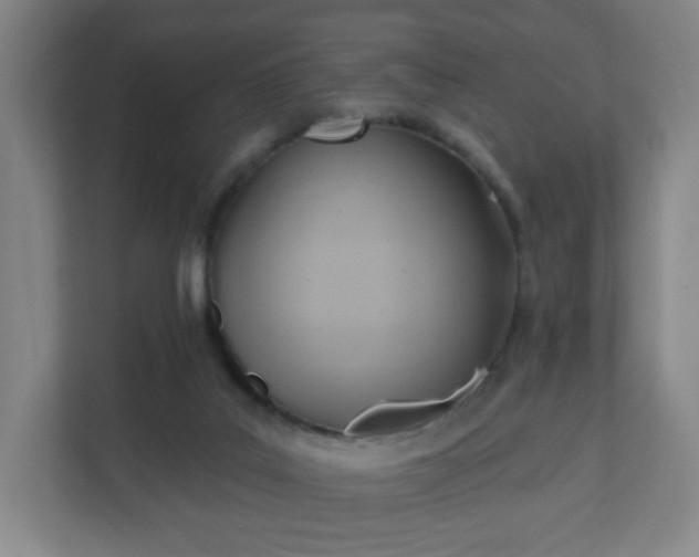 X0000110680019200906191414
