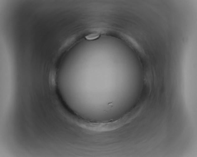 X0000110680023200906191414