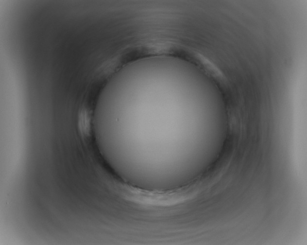 X0000110680026200906191414