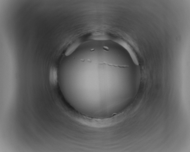 X0000110680027200906191414