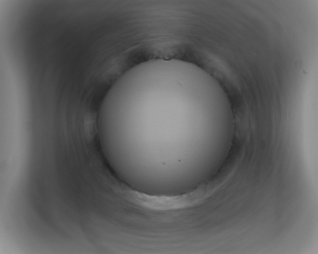 X0000110680034200906191414