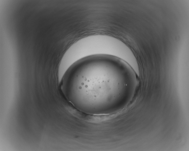 X0000110680037200906191414