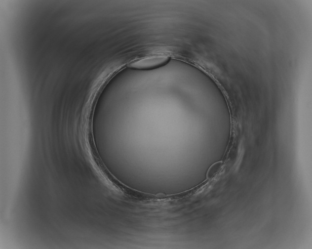 X0000110680049200906191413