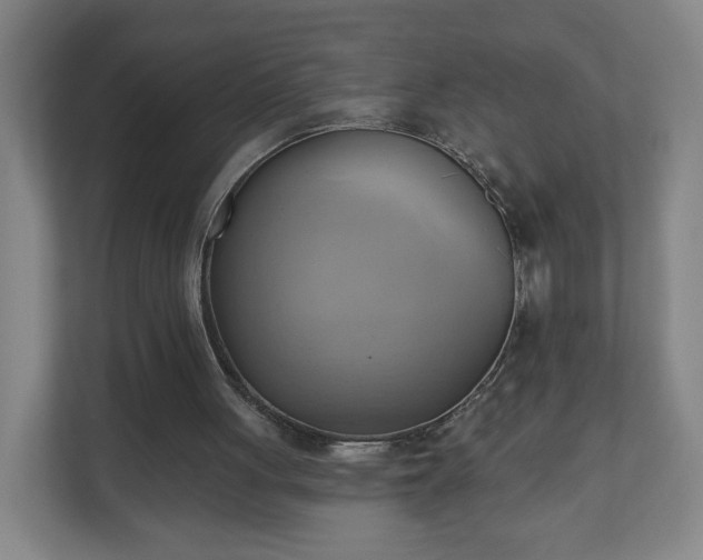 X0000110680051200906191413
