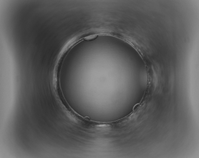 X0000110680053200906191413