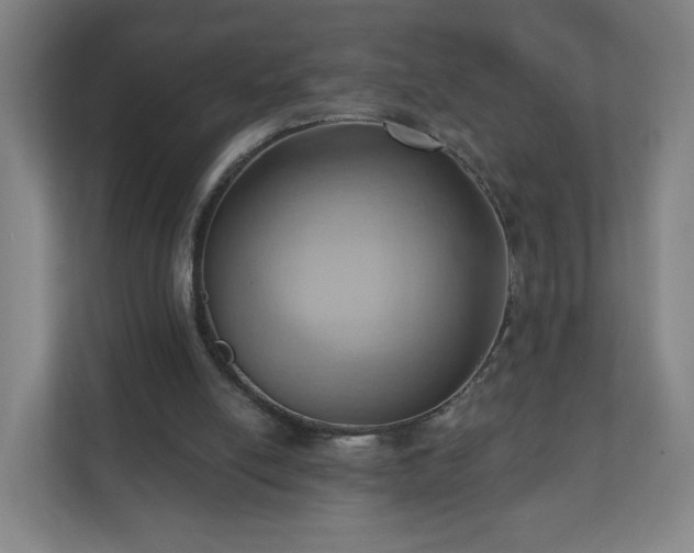 X0000110680054200906191413