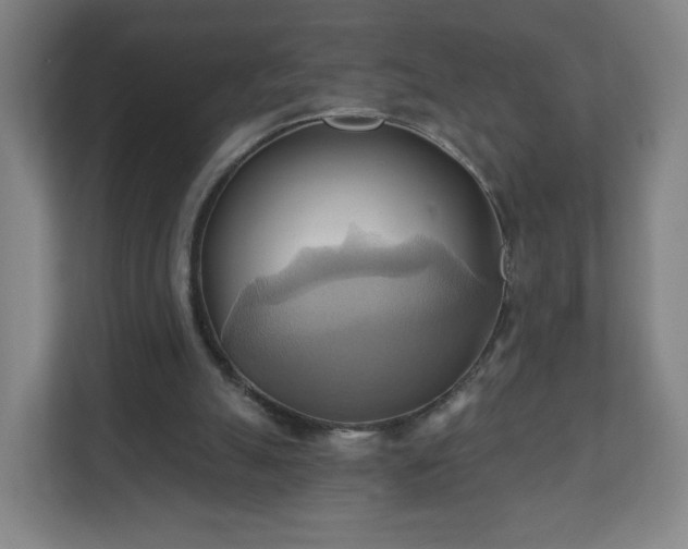 X0000110680055200906191413