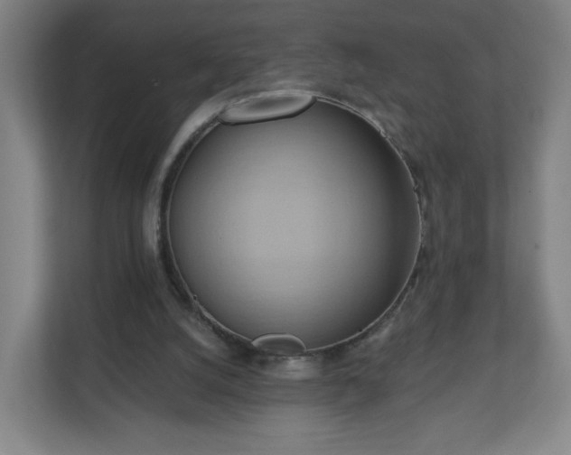 X0000110680056200906191413