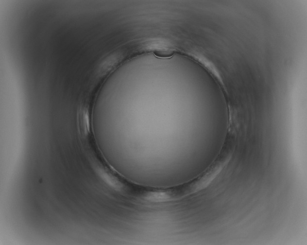 X0000110680061200906191413