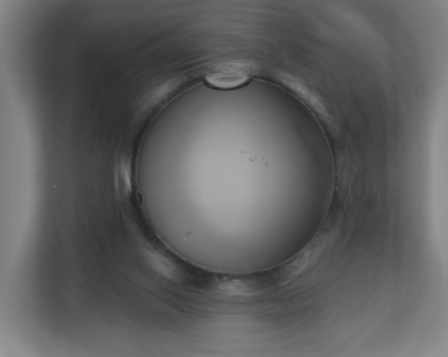 X0000110680062200906191413
