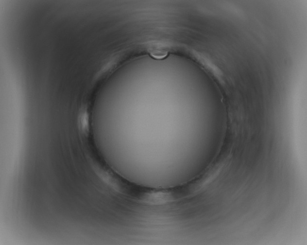 X0000110680067200906191414