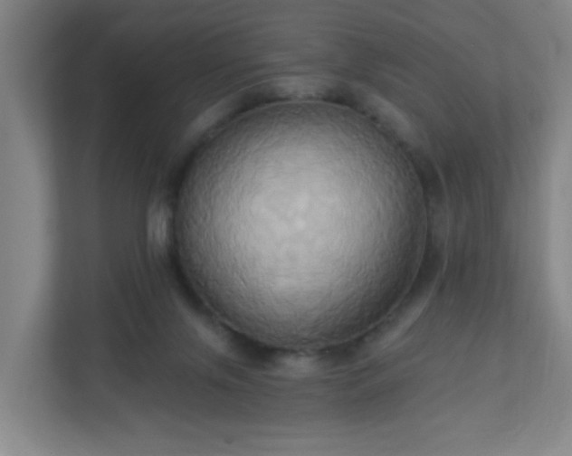 X0000110680071200906191414