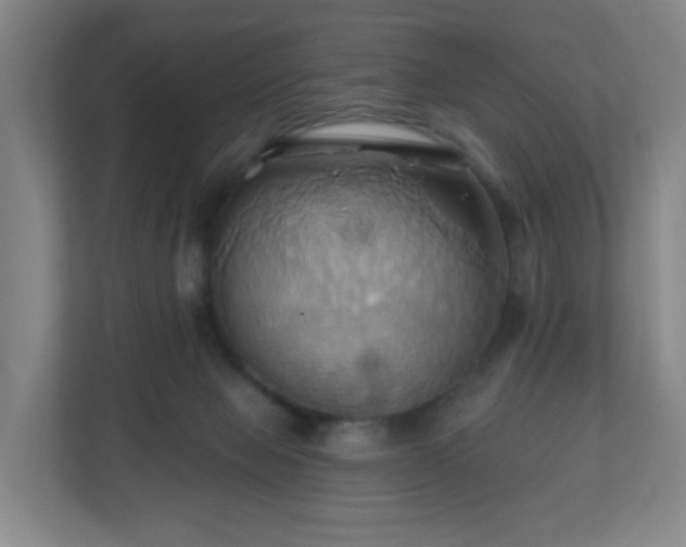 X0000110680077200906191414