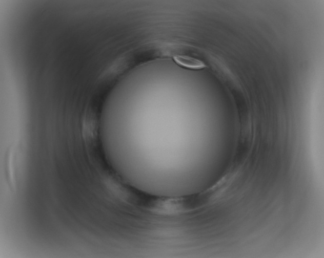 X0000110680078200906191414