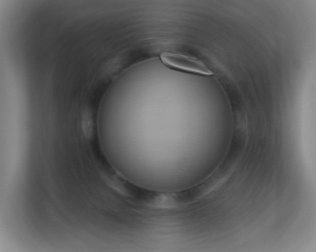 X0000110680080200906191414