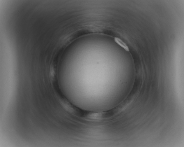 X0000110680084200906191414