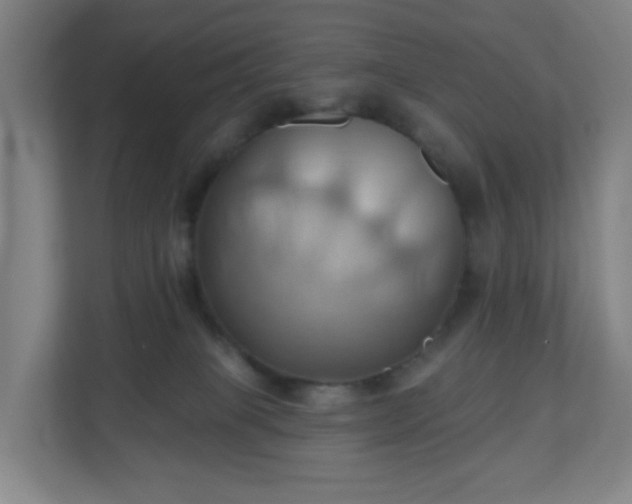 X0000110680085200906191414