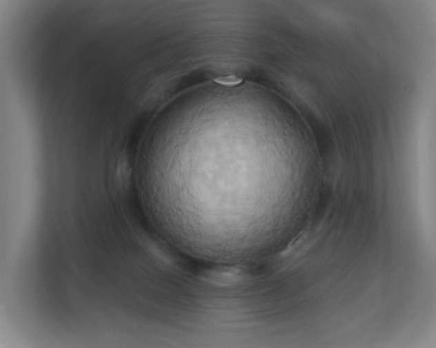 X0000110680086200906191414