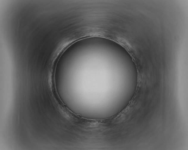 X0000110680098200906191413