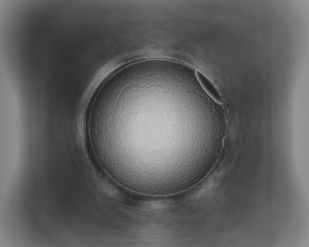X0000110680103200906191413