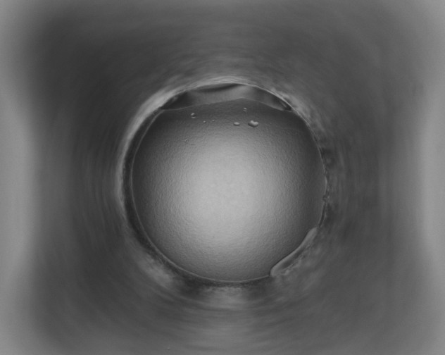 X0000110680104200906191413