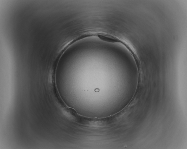 X0000110680105200906191413