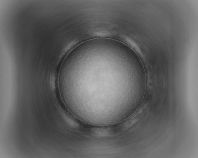 X0000110680106200906191413