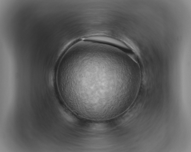 X0000110680107200906191413