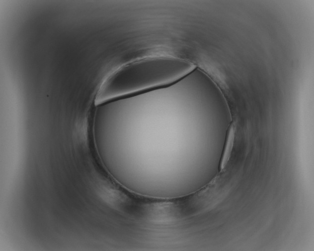 X0000110680108200906191413