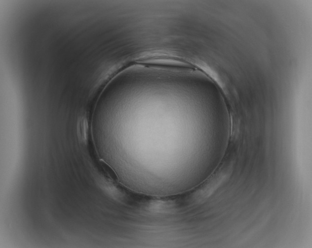 X0000110680109200906191413
