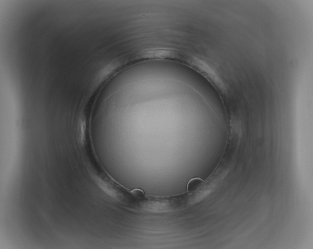 X0000110680110200906191413