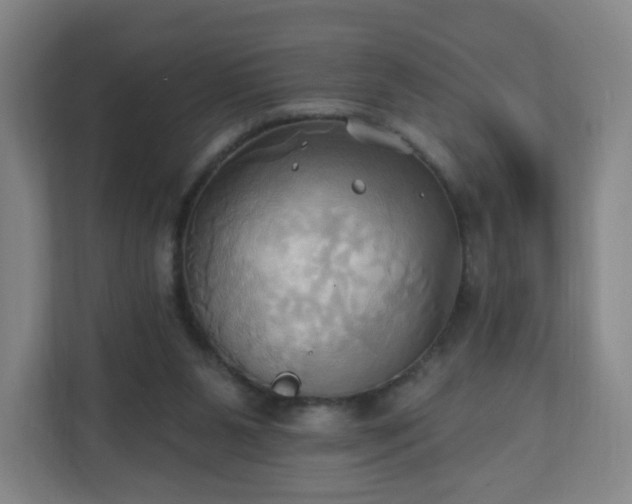 X0000110680111200906191413
