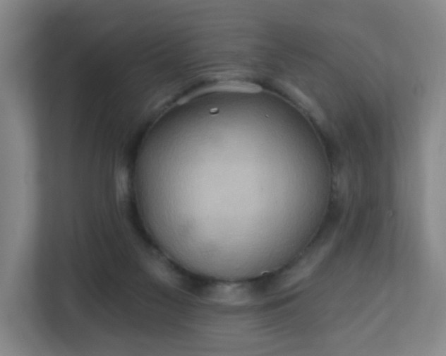 X0000110680117200906191413