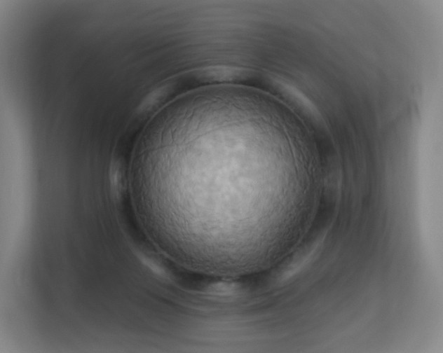 X0000110680119200906191413