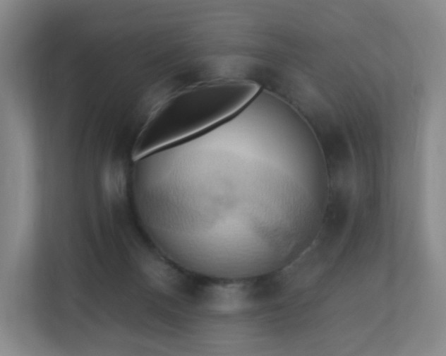 X0000110680120200906191413
