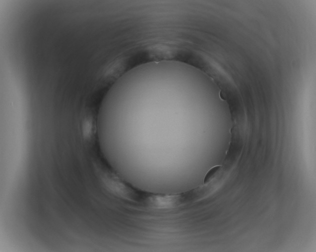 X0000110680134200906191413