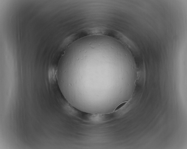 X0000110680142200906191413