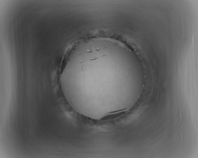 X0000110680144200906191413