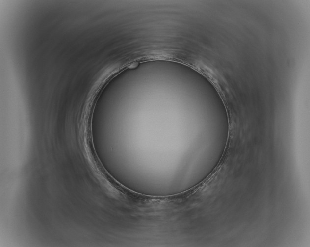 X0000110680145200906191412