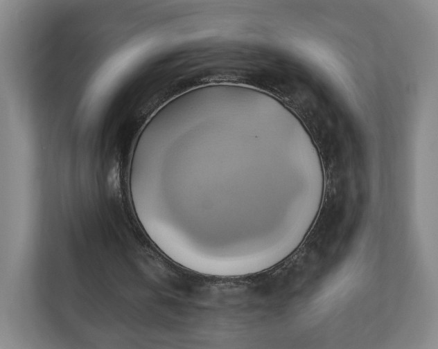 X0000110680146200906191412