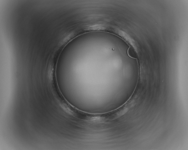 X0000110680153200906191412