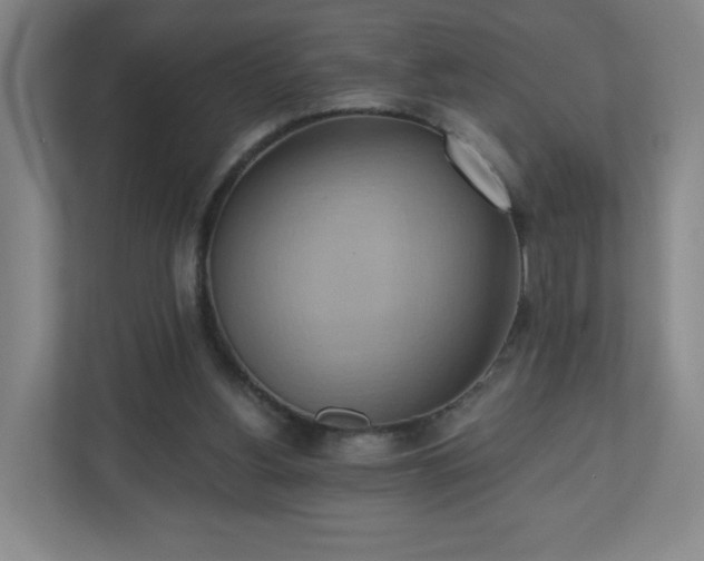X0000110680156200906191412