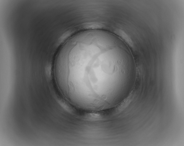 X0000110680159200906191412