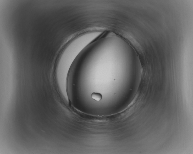 X0000110680160200906191412