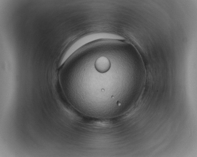 X0000110680164200906191412