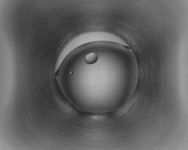 X0000110680168200906191412